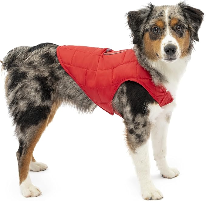 Kurgo Loft Dog Jacket - Reversible Cozy Coat for Outdoor Adventures - Water Resistant - Athletic Fit - Machine Washable Fabric - Reflective Dog Gear - X-Small - Chili Red