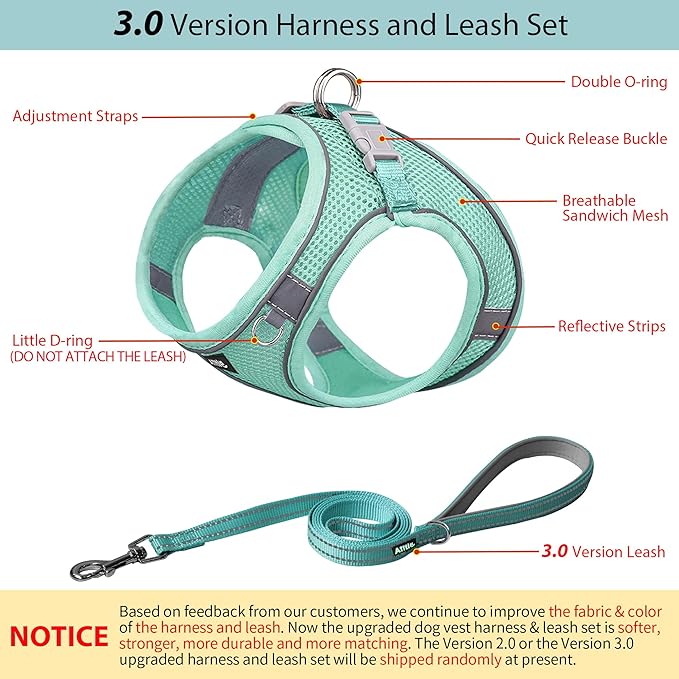 AIITLE Dog Harness, Summer No-Pull Cat Harness with a Leash, Adjustable Reflective Dog Vest, Cat Harness Escape Proof, Outdoor Walking, Camping for Extra Small Dogs and House Cats Pure Turquoise XXXS