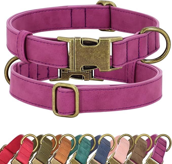 Didog Soft PU Leather Dog Collar, Stylish Quick Released Dog Collars for Small Dogs, Easy Clean Adjustable Pet Collar for Daily Walking, Purple, S Fit 10-16" Neck