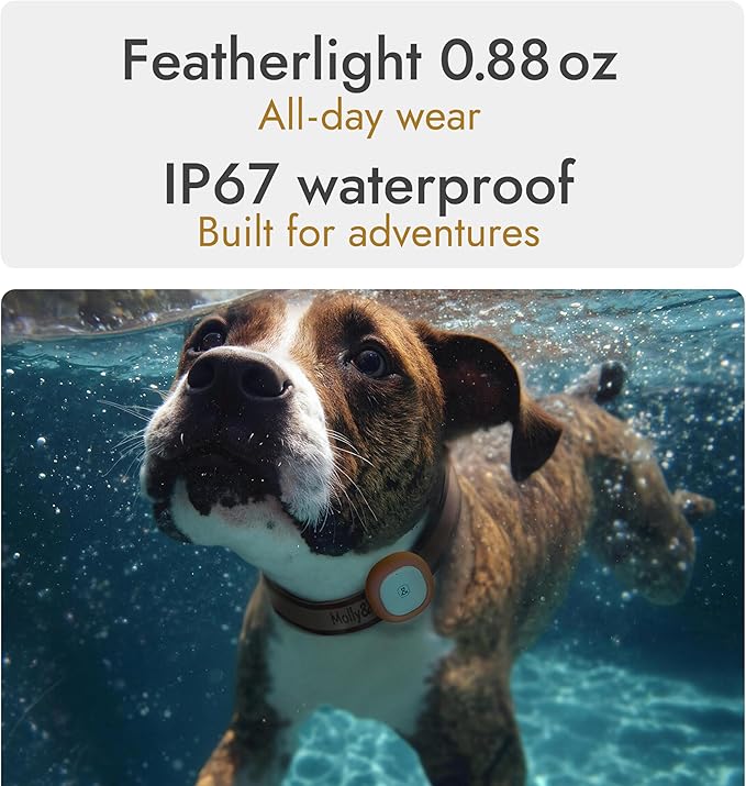 Molly&Cody GPS + Bluetooth Pet Tracker for Cats & Dogs – Real‑Time Tracking, Virtual Fence, IP67 Waterproof, Up to 60‑Day Battery, Health Monitoring, iOS/Android – 3‑Month Subscription Included (Gold)