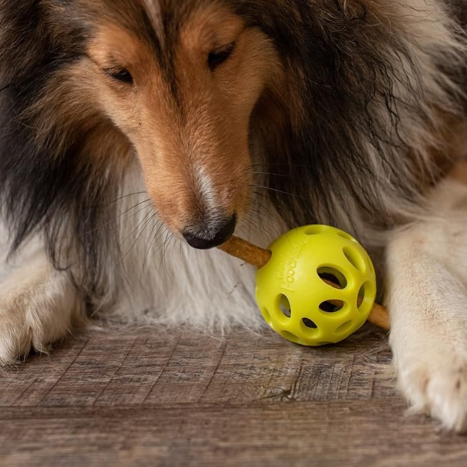 Messy Mutts Totally Pooched Huff'n Puff Ball | 2.5” TPR Puzzle Ball for Dogs | 2-in-1 Durable Interactive Toy and Tooth Cleaner | Green