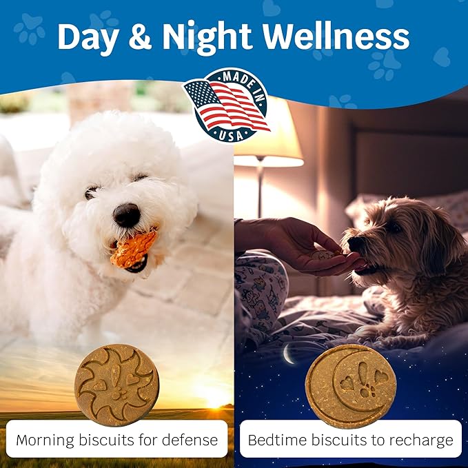 Shmush! Morning & Night Healthy Dog Biscuits – 100% All Natural Dog Treats Superfood with Blueberries, Colostrum & Moringa - Vet Formulated, Non-GMO, USA Made, Grain Free Cookies for Dogs - 56 Count