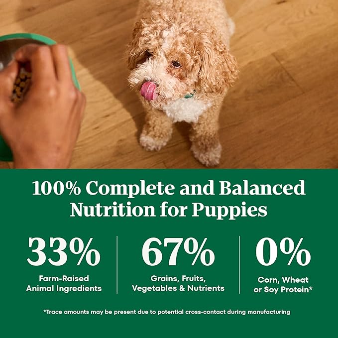 Nutro Natural Choice Lamb & Brown Rice Puppy Food Dry Recipe, 4.5 lb. Bag