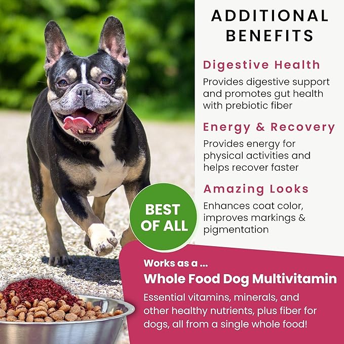 Olewo Original Red Beets for Dogs – Natural Skin & Coat Dog Food Topper, Anti Itch, Dehydrated Vegetables, Whole Food Supplements & Vitamins, Fiber for Dogs, 5.5 lbs