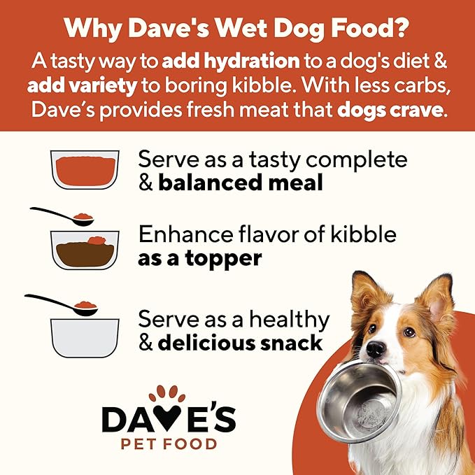 Dave's Pet Food Wet Canned Dog Food (Chicken & Rice), Made in USA Naturally Healthy with Added Vitamins & Minerals, Gluten Free Topper, 13.2 oz (12 Pack)