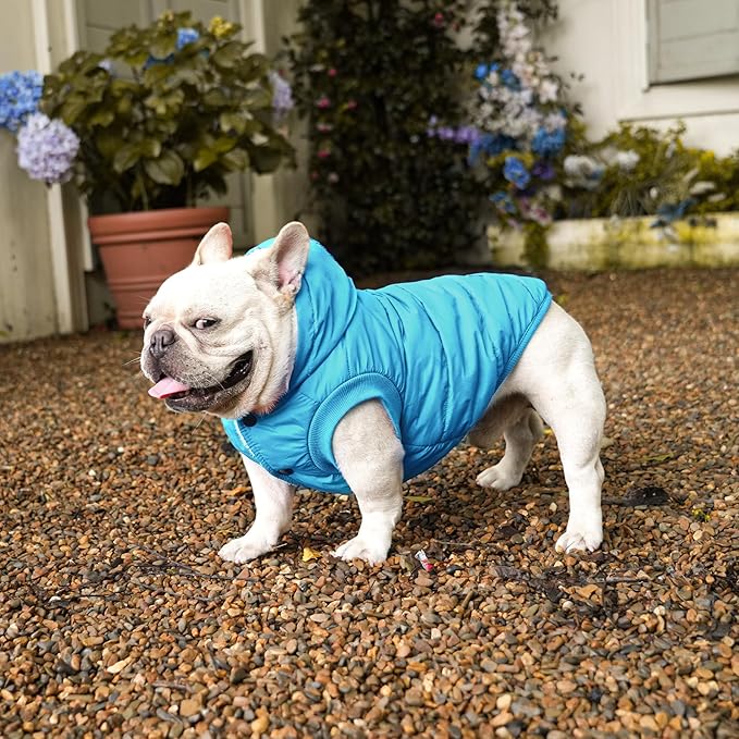 Fleece Lining Extra Warm Dog Hoodie in Winter for Large Dogs Jacket Pet Coats with Hooded,Light Blue XL