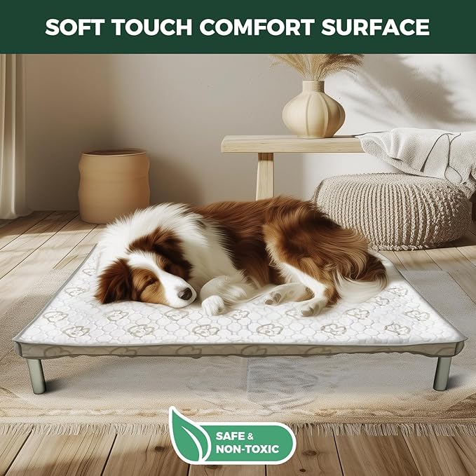 FXW TitanNest Chew-Proof Elevated Dog Bed, Raised Cot for Indoor/Outdoor/Camping Use, Durable & Waterproof Cooling Pet Bed with Exclusive Cover for Extra-Small Dogs, 30.0" L x 22.0" W x 4.5" H, Black