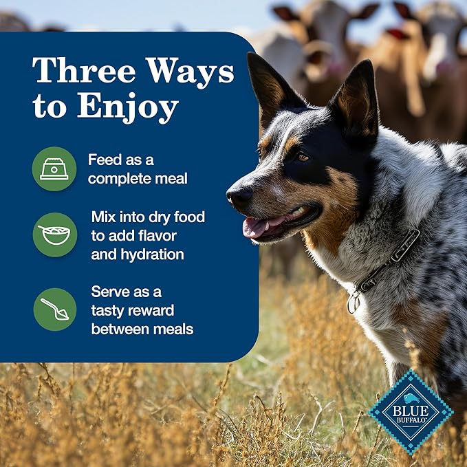 Blue Buffalo Homestyle Recipe Adult Wet Dog Food, Made with Natural Ingredients, Turkey and Lamb Dinner Variety Pack, 12.5-oz Cans (6 Count, 3 of Each)