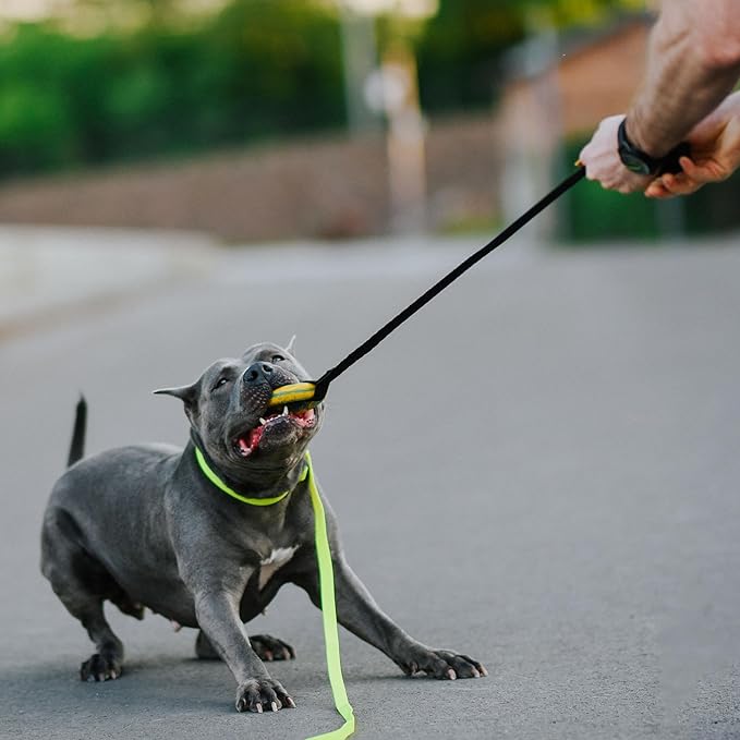 Dingo Puller tug Toy for Dog with Bungee Handle for Dog Training, Agility, tug of war 15674