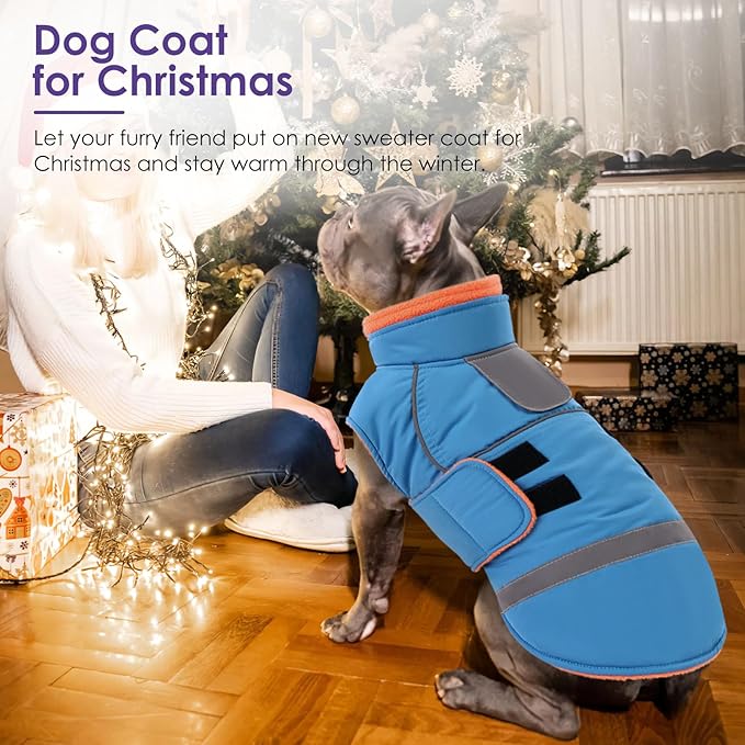 SUNFURA Large Dog Coat, Dog Jacket for Winter, Warm Pet Winter Coat for Cold Weather, Thick Fleece Jacket for Large Dogs, Pug, French Bulldog, Pitbull, Turquoise X-Large