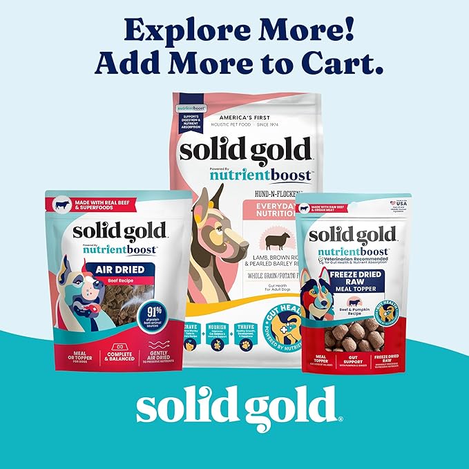 Solid Gold Sensitive Stomach Wet Dog Food for Adult & Senior Dogs - Grain Free Wet Dog Food w/Real Chicken, Salmon, Probiotics & Superfoods for Gut Health & Sensitive Stomach Support -6ct 12.5oz Cans