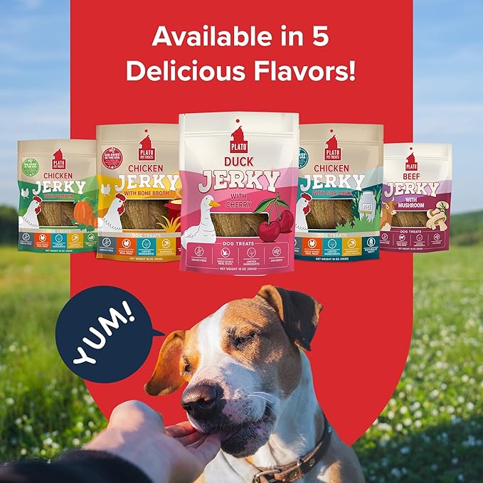PLATO Pet Treats Jerky Dog Treats - Air-Dried Jerky for Dogs - Delicious, Real Meat Dog Treats - Grain Free - Supports Healthy Digestion - Duck Jerky with Cherry 7oz