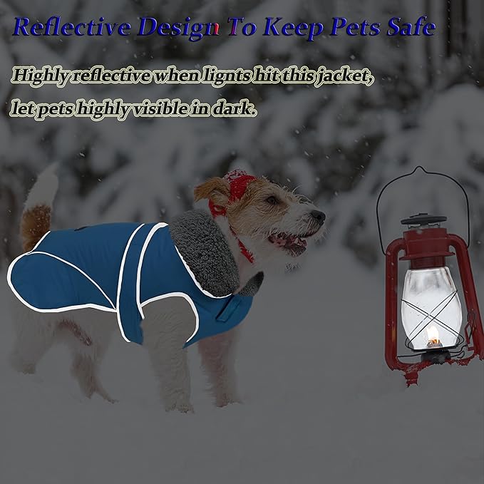 Dogcheer Dog Coat, Waterproof Dog Jacket Reflective Pet Winter Coat with Adjustable Hook & Loop, Christmas Puppy Fleece Jacket Warm Turtleneck Snowsuit for Small Medium Large Dogs - Sky Blue, L