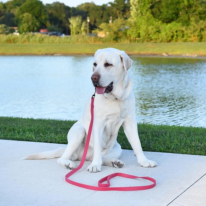 Dogline Biothane Waterproof 6ft Dog Leash Strong Coated Nylon Webbing with Black Hardware Odor-Proof Easy to Clean High Performance for Small or Large Dogs Made in USA 6ft Lead, Passionfruit Pink