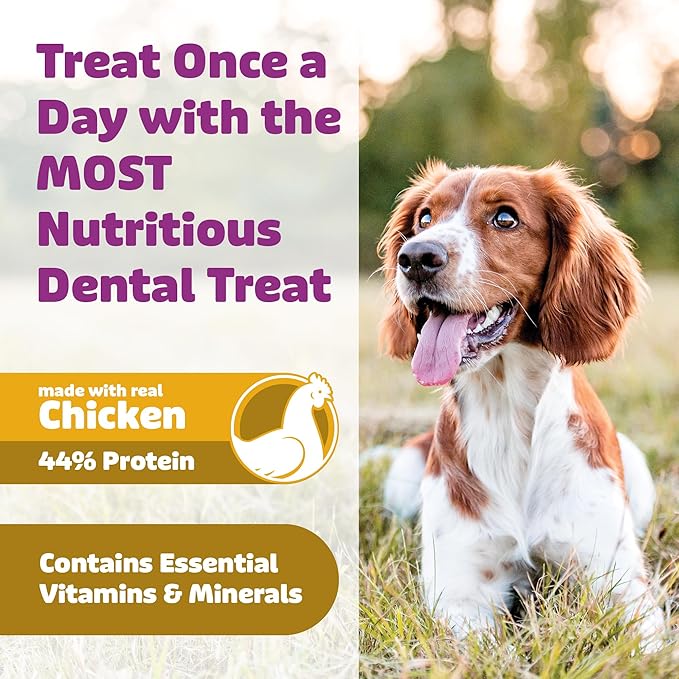 Yummy Combs Dog Dental Treats – Vet VOHC Approved – Delicious Chicken Protein – Removes Tartar with Cleaning Comb Shape – Dental Dog Treats for Extra Large Dogs (12oz, 6 Count)