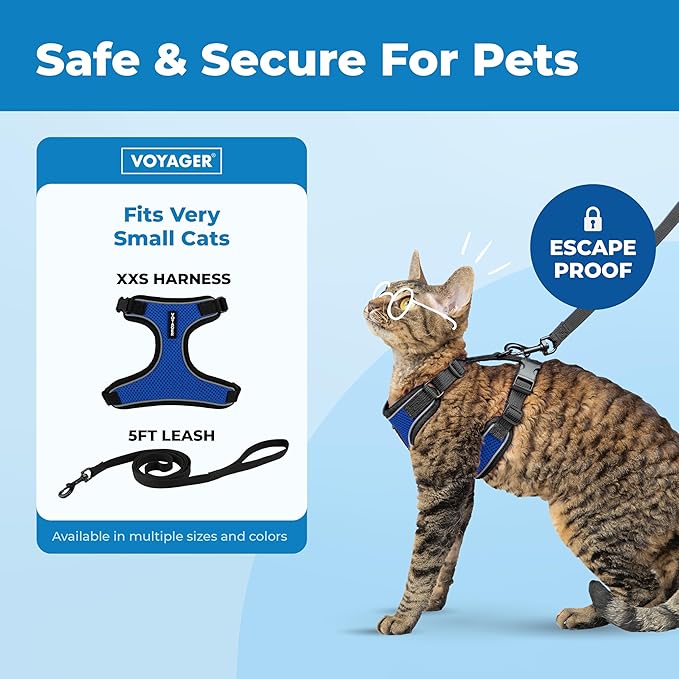 Voyager Escape Proof Cat Harness and Leash Set with Reflective Stitching, Neoprene Handle 5ft - Supports Small, Medium and Large Cats, Kittens for Walking by Best Pet Supplies - BT-Royal Blue, XXS