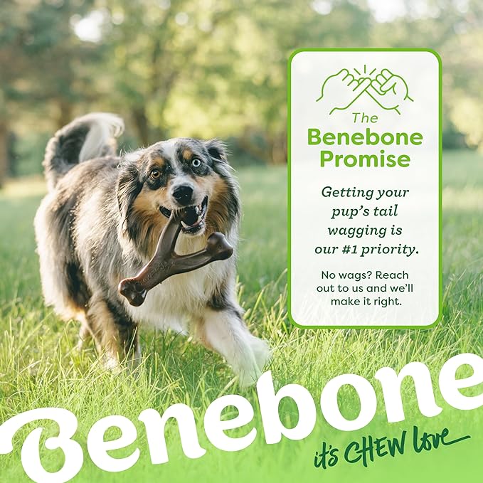 Benebone Wishbone Durable Dog Chew Toy for Aggressive Chewers, Made in USA, Large, Real Chicken Flavor