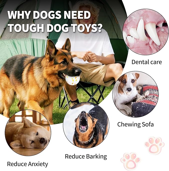 Dog Balls Tennis Ball Toys 2 Pack Dog Toys For Aggressive Chewers Indestructible Durable Teething Chew Bouncy Safe Balls Dogs Floating For Water Toy Fetch Pet Ball For Large Medium Dogs(White+Orange)