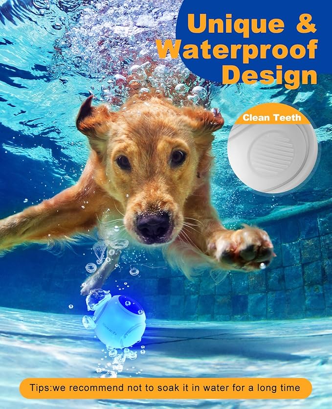 LED Dog Ball Rechargeable, Light Up Dog Ball Toys, Bounce-Activated Durable Fetch Ball, Natural Rubber, Unique Scent, 2.5 inches, for Small & Medium Dogs (Blue)