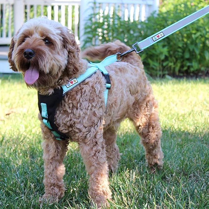 Pawtitas Personalized Dog Leash Embroidered Customize Your Pet Name & Phone Number Puppy Reflective 6 ft Long Large Camouflage Grey Custom Tag Name, Grey Camo