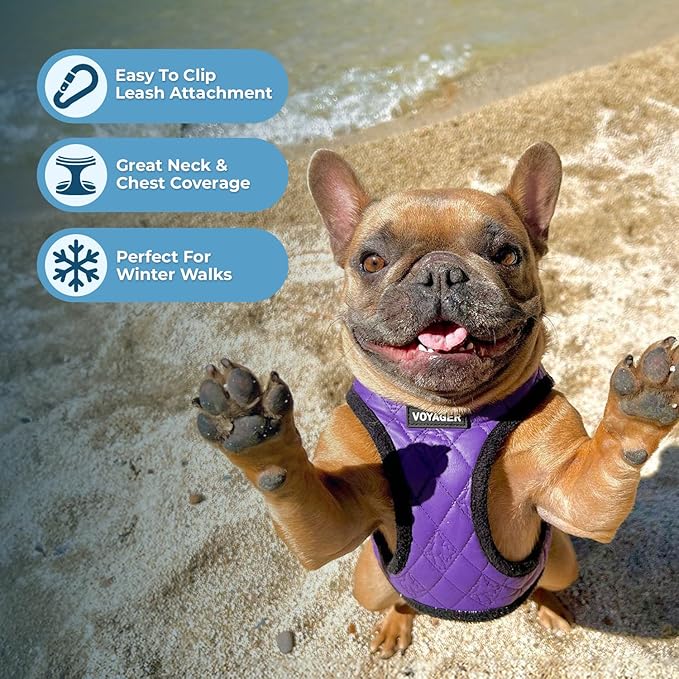 Best Pet Supplies - All Weather Mesh / Plush, Reflective, No Pull Harness for Small, Medium Dogs, Cats - Secure with Hook & Loop Fastener, Buckle, Double D-Rings - Purple Faux Leather, M