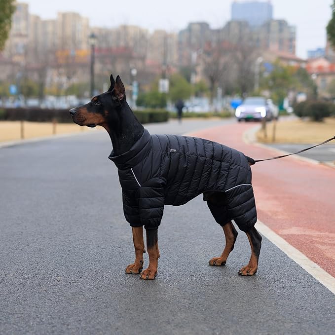 Warm Dog Coat, 4 Legs Covered Waterproof Windproof Reflective Vest, Zippered Adjustable Outdoor Snow Jacket for Small Medium Large Dogs Black M