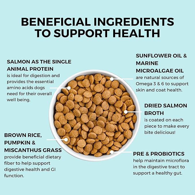 KOHA Limited Ingredient Bland Diet Dry Food for Dogs - Salmon & Brown Rice Recipe, Sensitive Stomach Dog Food with Pre & Probiotics - Pumpkin for Digestive Support, 3.5 lbs