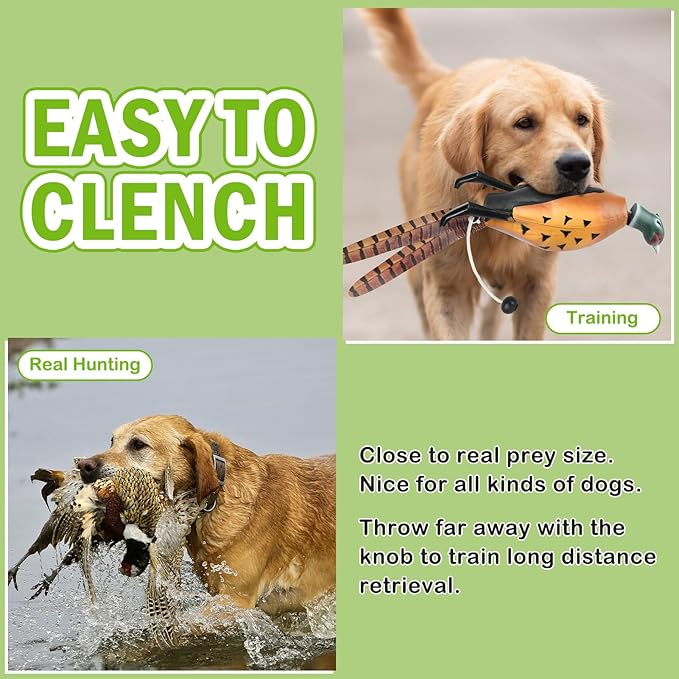 Archerest Dead Duck Dove Pheasant Dummy Bumper Toys for Waterfowl Hunting Retriever Dog Training, Floating Mallard Dummy Trainer Outdoor Soft Durable Realistic Fowl