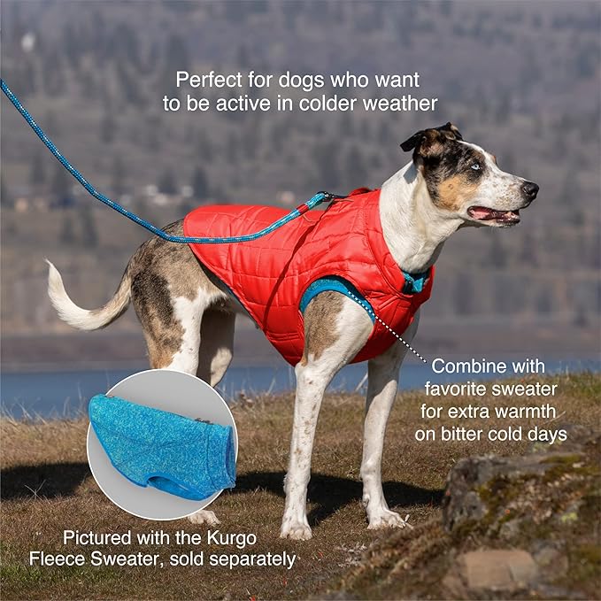 Kurgo Loft Dog Jacket - Reversible Cozy Coat for Outdoor Adventures - Water Resistant - Athletic Fit - Machine Washable Fabric - Reflective Dog Gear - X-Small - Deep Violet