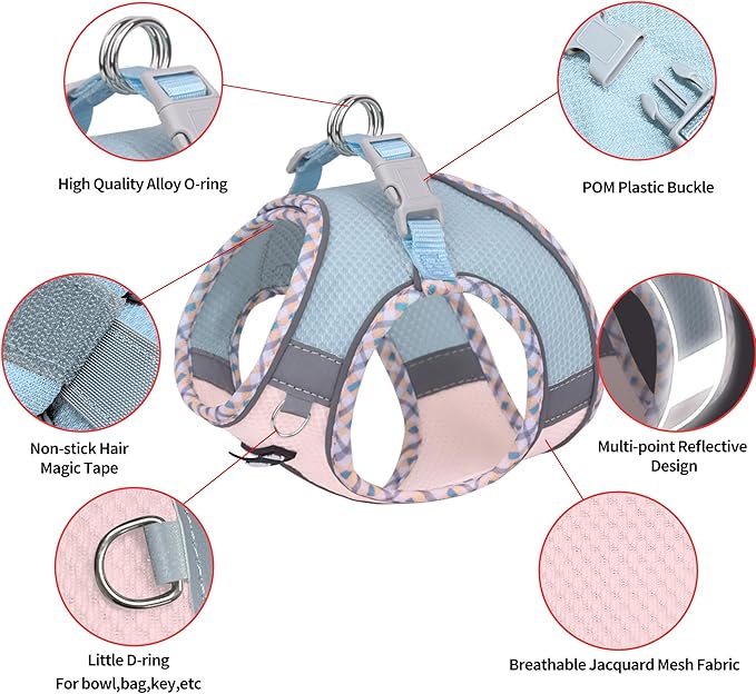 AIITLE XXS Dog Harness & Leash Set - Breathable Reflective No-Choke Small Dog Harness for Teacup Puppies, Indoor/Outdoor Use - Boston Terrier, Maltese, Chihuahua (Blue-Pink, XXS)
