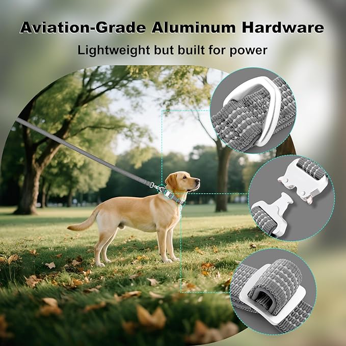 Plutus Pet Reflective Dog Collar with Aviation Aluminum Buckle, Neoprene Padded for Comfort, Lightweight, Heavy Duty Nylon Collar for Puppy Small Medium Large Dogs (Gray, XL)