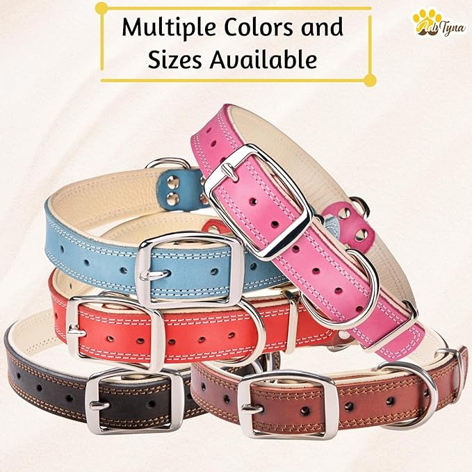 ADITYNA Heavy-Duty Leather Dog Collar for Extra-Large Dogs - Soft Padded for Comfort - Big Black Dog Collar for Walking, Training, and Hiking