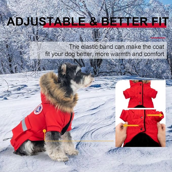 PINA Small Dog Coats - Waterproof, Warm Winter Jacket with Faux Fur Hood, Windproof Reflective, Flannel Lining