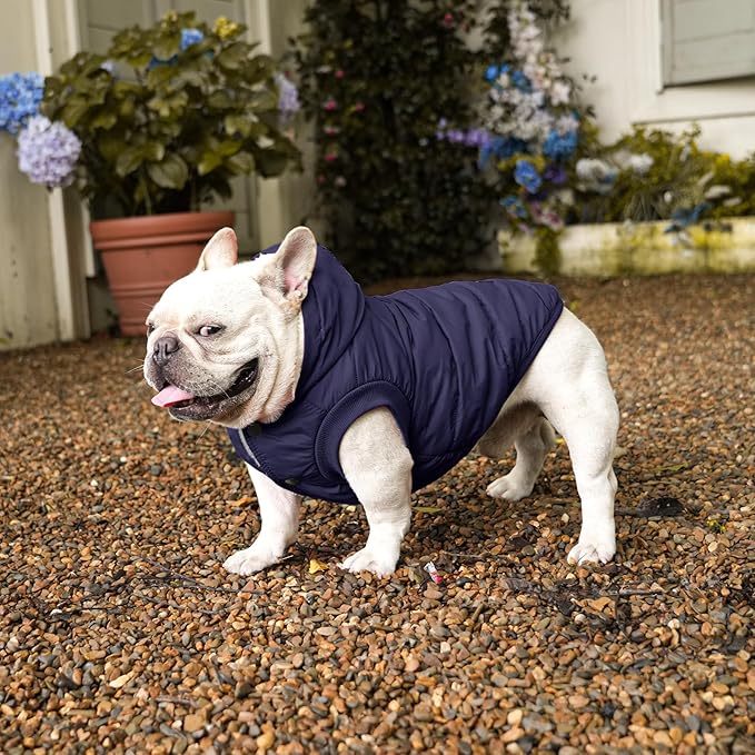 Fleece Lining Extra Warm Dog Hoodie in Winter for Large Dogs Jacket Pet Coats with Hooded,Blue XXL