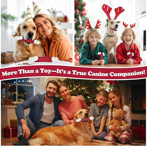 6-Pack Tough Dog Toys, Toys for Aggressive Chewers Large Breed, Chew Dogs, Bone Toy Nylon Dogs Almost Indestructible