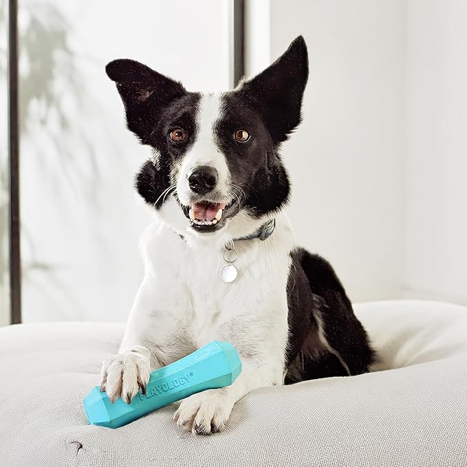 Playology Dog Toys | Durable Squeaky Chew Stick for Dogs | Jumbo Peanut Butter Scented Toy - Easy to Clean and Made from Non Toxic Materials
