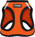 Best Pet Supplies Voyager Step-in Air Harness - All Weather Mesh, Reflective, No Pull Harness for Dogs, Cats - Secure with Hook & Loop Fastener, Buckle, Double D-Rings - Orange/Black Trim, XXS