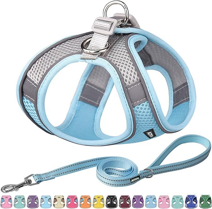 AIITLE Easy Walk Dog Harness and Leash Set - Pet Supply No Pull, Step in Adjustable Pet Harnesses with Padded Vest for Summer, No Choke Over, Easy to Put on Medium Dogs Blue L