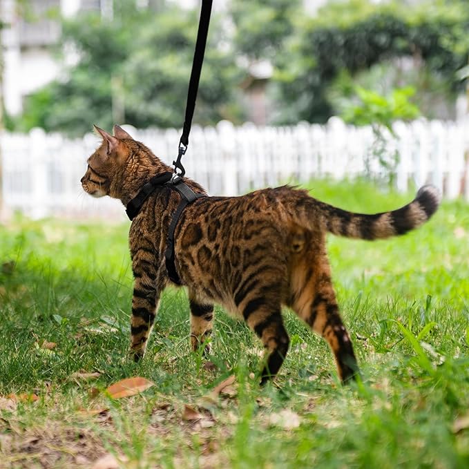 Cat Harness and Leash Set with Airtag Holder for Walking & Travelling, Escape Proof Cat Harness for Small Medium Large Kitten, Adjustable Lightweight Soft Cat Vests (Black)
