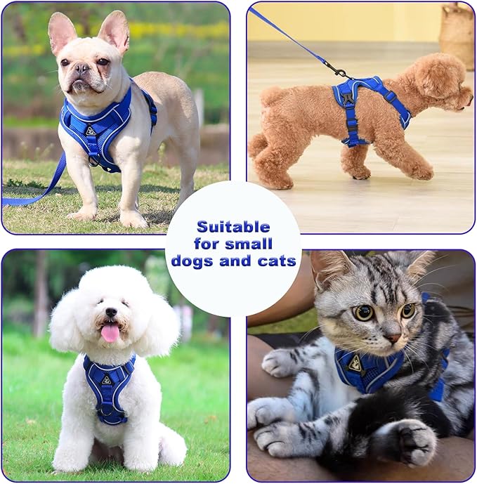 SOLMOONY Small Dog Harness,Soft Mesh Puppy Harness and Leash Set,No Escape Cat Harnesses for Training Walking,Reflective Adjustable Puppy Vest for Small Medium Dogs, Cats (Navy Blue, M)