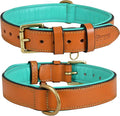 Genuine Leather Dog Collar | Full Grain, Heavy Duty, Comfortable, Padded, Strong | Best for Pups, Small, Medium, Large & XL Breeds (Small (Fit Neck Size 11.5"-14.5"), Tan)
