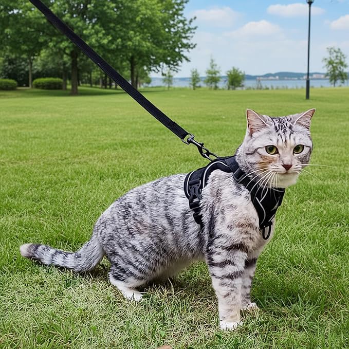Cat Harness and Leash Set Escape Proof Tactical Medium Kitten Harness Emotional Support Cat Vest, Black, M