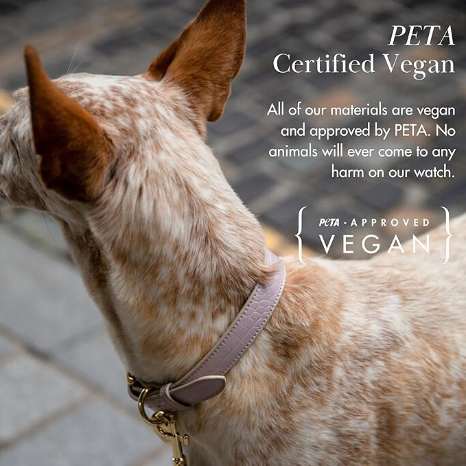NINA WOOF Milan Vegan Leather Dog Collar - Padded Luxury Dog Collar with Adjustable Buckle - Collar for Dogs, for Small Dogs and Large Dogs - Color Lilac, Size Small