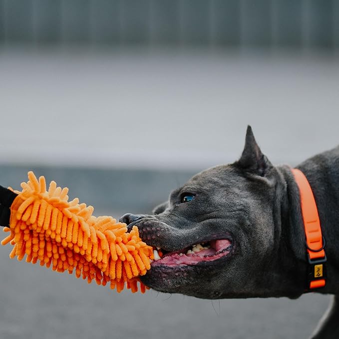 Dingo Shaggy tug Toy for Dog, nuby Noodle Plush, tug of war, Outdoor Play, Dog Training, Agility, Bungee Handle 9-18in, Orange