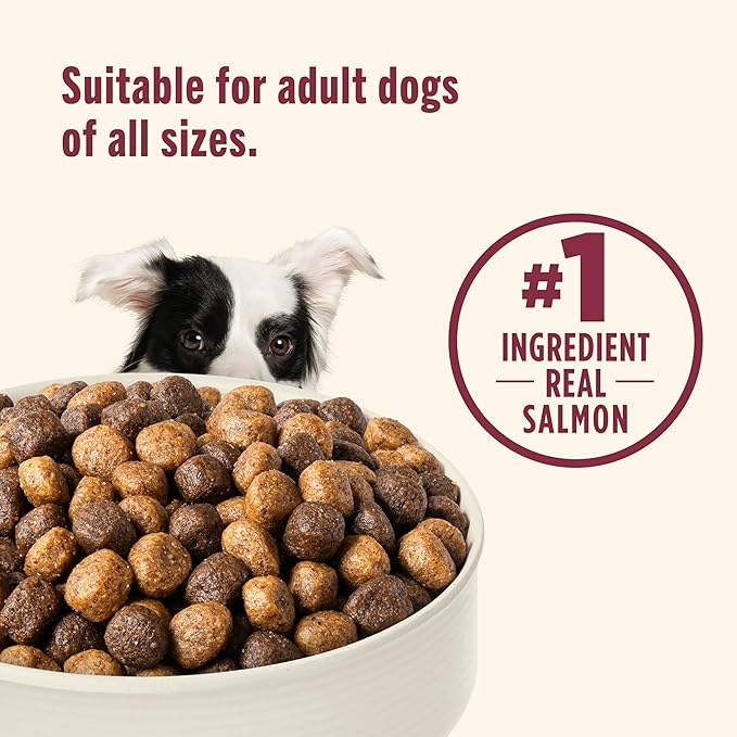 Nutrish Real Salmon, Veggies & Brown Rice Recipe Whole Health Blend Dry Dog Food, 5.5 lb. Bag, Packaging May Vary (Rachael Ray)