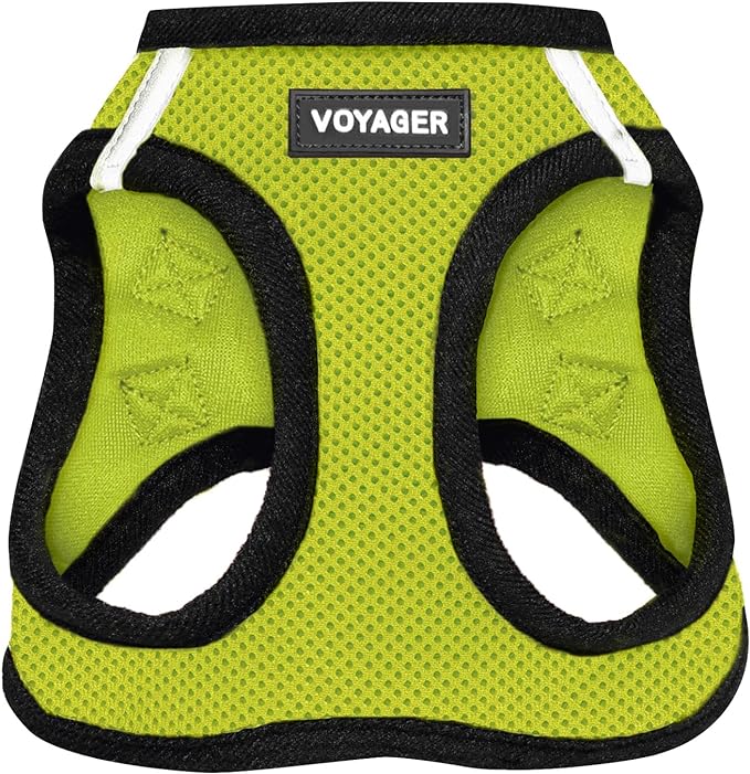 Best Pet Supplies Voyager Step-in Air Harness - All Weather Mesh, Reflective, No Pull Harness for Dogs, Cats - Secure with Hook & Loop Fastener, Buckle, Double D-Rings - Lime Green/Black Trim, XXXS