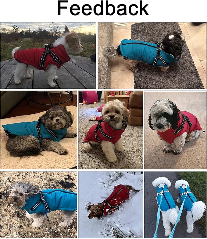 Geyecete Winter Warm Coat Waterproof Dog Jacket with Harness Traction Belt, Pet Outdoor Jacket - Navy - XXL