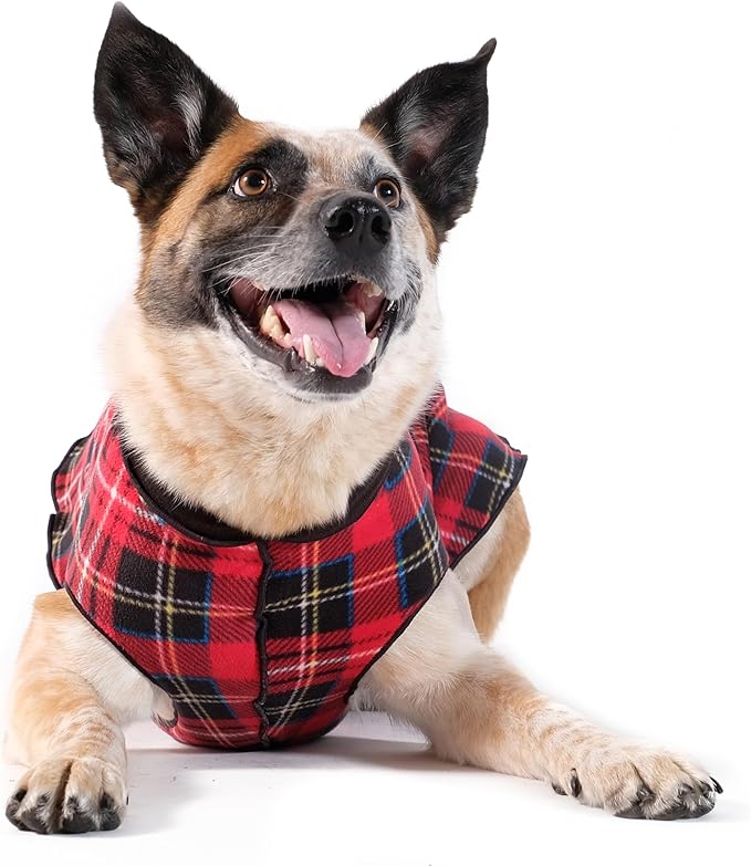 Goldpaw Duluth Double Fleece Dog Sweater Vest for Small Dogs - Soft, Stretchy Dog Fleece - Warm Pet Jacket for Fall and Winter - Premium Pet Outerwear - Machine Washable - Red Tartan/Black - Size 8