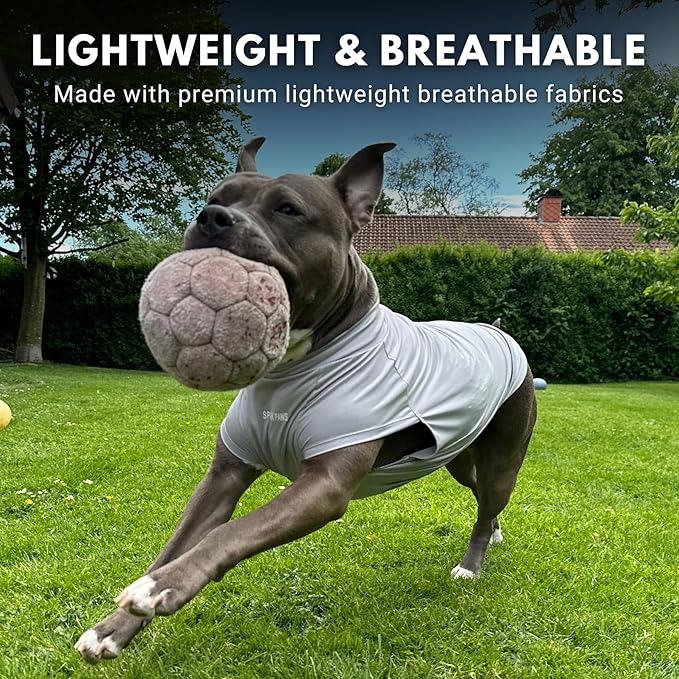 Spark Paws Sunblock Dog T-Shirt, SPF30 Protection, Lightweight Breathable Quick Dry for Dogs with Sensitive Skin - Blue & Grey (Set of 2) - XL
