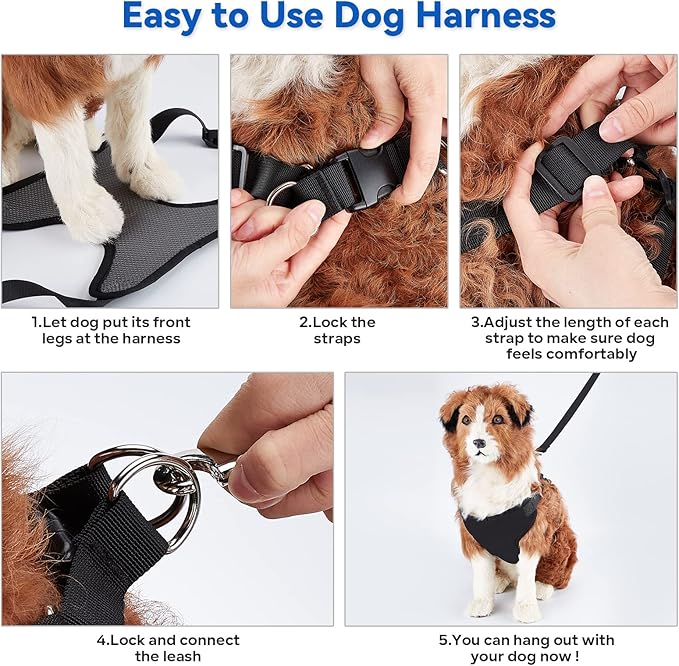 2 in 1 Pet Grooming Hammock with No-Pull Harness, Disassembles into Leash, Adjustable Loop/Leash, Stainless Hooks, Small Size for Cat/Dog
